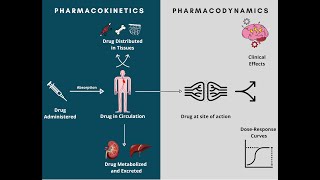 Antidepressants Pharmacology  Soton Brain Hub [upl. by Lalo]