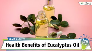 Health Benefits of Eucalyptus Oil [upl. by Suhpesoj]