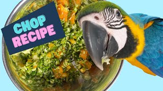 Perfect chop recipe for a macaw  Shelby shorts [upl. by Kile856]