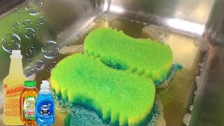 🤩 Sudsy Suds  ASMR SPONGE SQUEEZING  🤩 [upl. by Kristofor386]