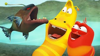 Fishing  Larva  Cartoons for Kids  WildBrain Kids [upl. by Fesuoy259]