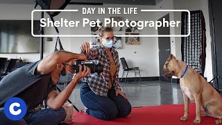 A Day in the Life of a Shelter Pet Photographer  Chewy [upl. by Analram923]