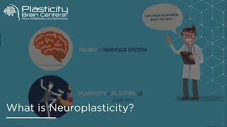 What is Neuroplasticity [upl. by Ilrebmyk]