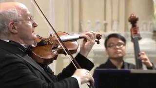 Antonio Vivaldi – Violin Concerto in gminor RV 317 [upl. by Savina]