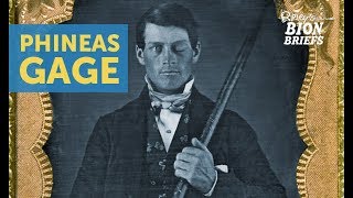 The Oddity Of Neuroscience Phineas Gage [upl. by Kermit500]