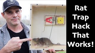 A Rat Trap Hack That Works How To Catch MORE Rats amp Mice  Mousetrap Monday [upl. by Humo]