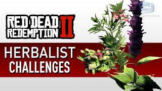 Red Dead Redemption 2  Herbalist Challenge Guide [upl. by Otrebilif]