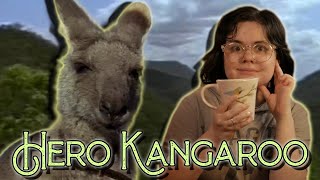 The Kangaroo That Saves Lives  Skippy The Bush Kangaroo [upl. by Malilliw]