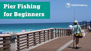 Pier Fishing for Beginners [upl. by Harleigh185]