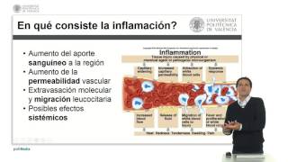 La inflamación y la permeabilidad vascular   UPV [upl. by Enyrb453]