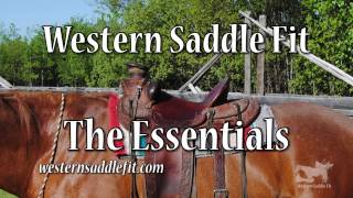 Western Saddle Fit  the Essentials [upl. by Daisey]