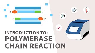 1 PCR Polymerase Chain Reaction Tutorial  An Introduction [upl. by Hareenum293]