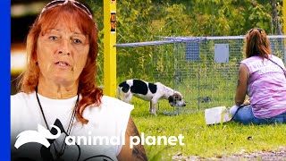 Tias Most Ingenious Dog Rescue Moments  Pit Bulls amp Parolees [upl. by Nierman46]