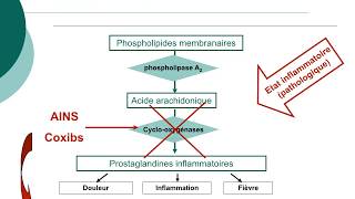 Pharmacologie des AINS et des corticoïdesCours commenté [upl. by Andryc]