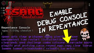 How to Enable The Debug Console in Repentance [upl. by Ehcadroj752]