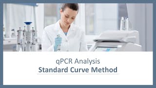 qPCR Analysis  Standard Curve Method [upl. by Nais578]