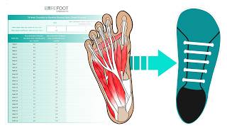 How to Transition to Barefoot Shoes SAFELY [upl. by Novah437]