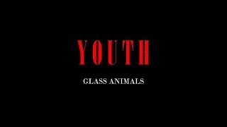 Youth Glass Animals  lyrics [upl. by Nynnahs]