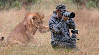 This Lioness Surprised The Photographer In An Unexpected Way [upl. by Latimore327]