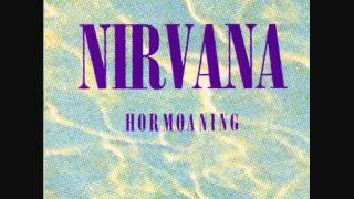 Nirvana  Even In His Youth Lyrics [upl. by Shaylah655]