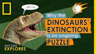 How a Meteor Killed the Dinosaurs and How we Know it Happened [upl. by Lyudmila605]