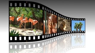 GIMP 28 Tutorial for Beginners  Filmstrip Photos [upl. by Airdnazxela416]