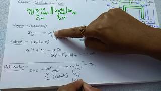 Concentration cells  Nernst equation  Electrochemistry  Class 12 Chemistry [upl. by Khosrow]