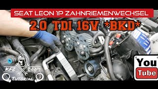 Seat Leon 1P 20 TDI BKD Zahnriemenwechsel  Anleitung  Drehmomente  Timing Belt [upl. by Franklin]