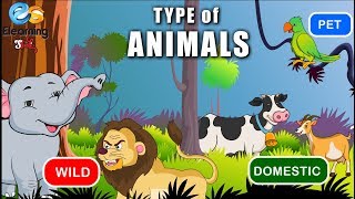 Types of Animals  Wild Domestic Pet [upl. by Angelico]