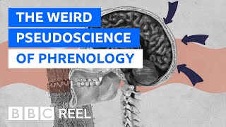 Phrenology The weirdest pseudoscience of them all  BBC REEL [upl. by Madriene]