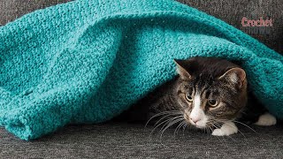 Easy Crochet Cat Blanket [upl. by Annavaig]