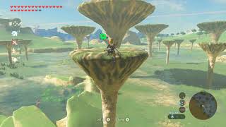 Korok seeds  Ludfos Bog  Ridgeland Tower 1415161718  Zelda BOTW [upl. by Rand]