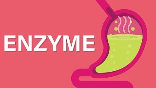 What are Enzymes [upl. by Larsen]