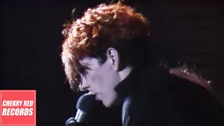 Thompson Twins  In The Name Of Love  Live at the Royal Court Theatre Liverpool UK 1986 [upl. by Thorwald287]