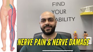 All About Nerve Damage Nerve Pain And Nerve Healing  Dr Sina Yeganeh Chiropractor  MOVABILITY [upl. by Boggs]