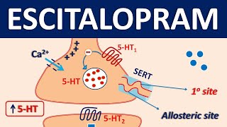 Escitalopram Lexapro  Mechanism precautions side effects amp uses [upl. by Endres]