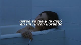 Ayer La Vi  Don Omar Letra [upl. by Skye]