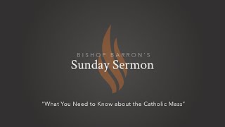 What You Need to Know about the Catholic Mass — Bishop Barron’s Sunday Sermon [upl. by Dewees]