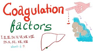 Coagulation Factors  Hemostasis  Hematology [upl. by Marisa]