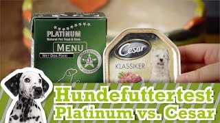 Hundefutter Test Cesar vs Platinum Menu [upl. by Stochmal]