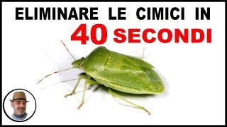 ELIMINARE LA CIMICE IN 40 SECONDI [upl. by Ainolloppa828]