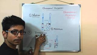 Chromosomal mutations  deletion mutation [upl. by Humo]