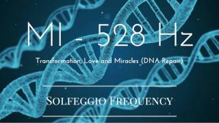 MI  528 Hz  pure tone  Solfeggio Frequency  Transformation Love and Miracles DNA Repair [upl. by Rodmann682]