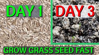 How to GROW grass seed FAST  CHEAT Nature and grow grass in 2 days [upl. by Sherburne]