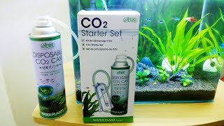 Ista CO2 Starter Set Review  Cheap CO2 Diffuser kit [upl. by Hatnamas]