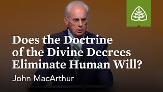 John MacArthur Does the Doctrine of the Divine Decrees Eliminate Human Will [upl. by Hcirdla]