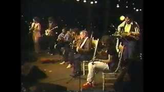 Doc Watson Rockabilly Medley Chicago 1984 [upl. by Kirred]