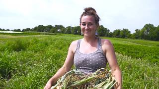 Soil Sister Lauren Farms Barefoot [upl. by Gnas]