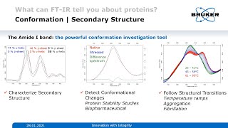 Basics of Protein Analysis and Secondary Structure Determination  FTIR Spectroscopy  Biosimilars [upl. by Paluas732]