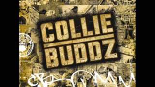 Collie Buddz  Collie Buddz  Come Around HQ [upl. by Kinata]